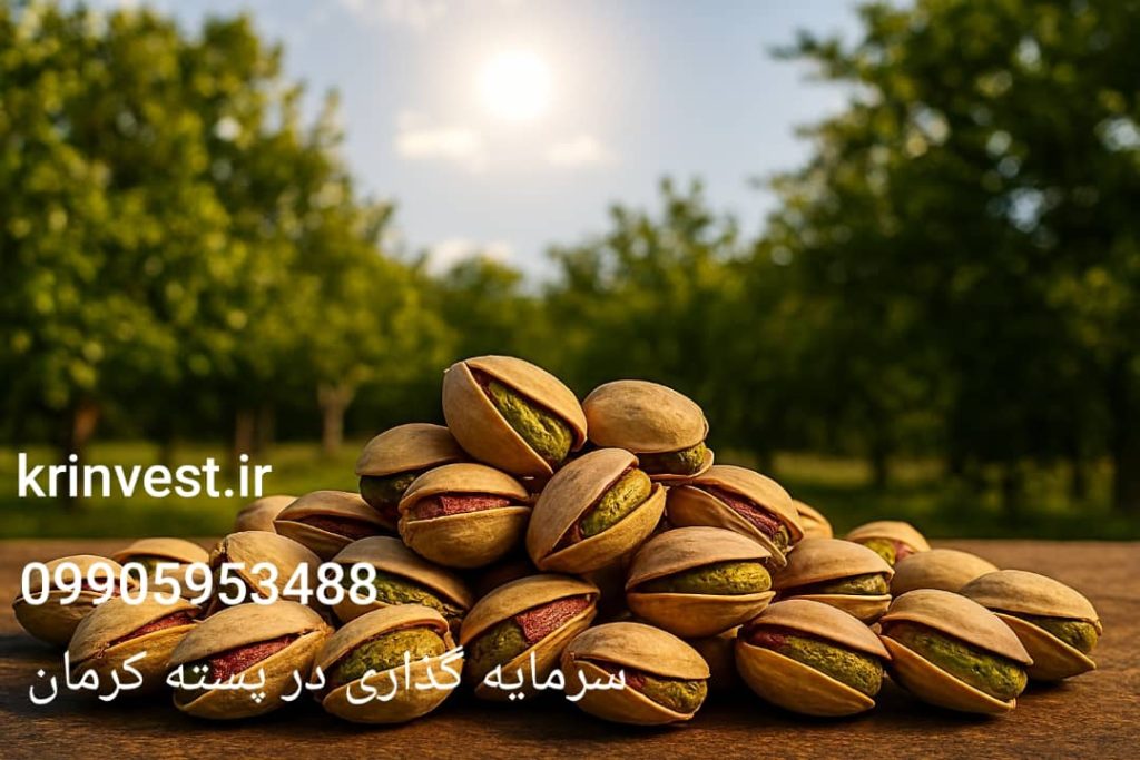 سایت سرمایه گذاری در استان کرمان