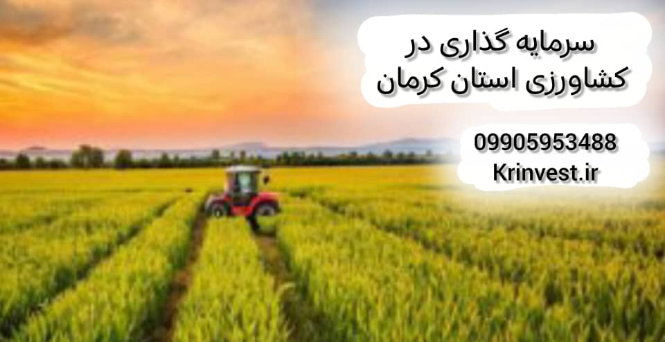 سرمایه گذاری در کشاورزی استان کرمان